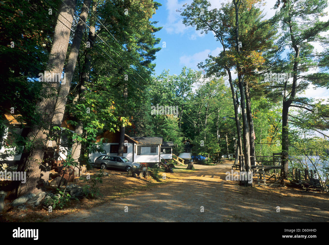 Elk281-1340 New Hampshire, Centro Sandwich, case estive Foto Stock