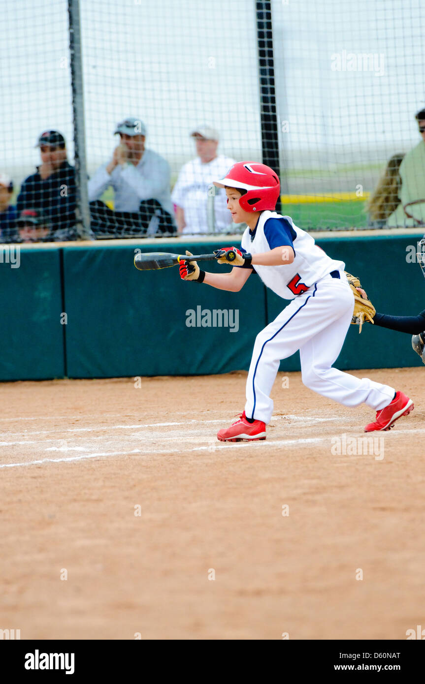 Little League Baseball boy in procinto di bunt la palla. Foto Stock