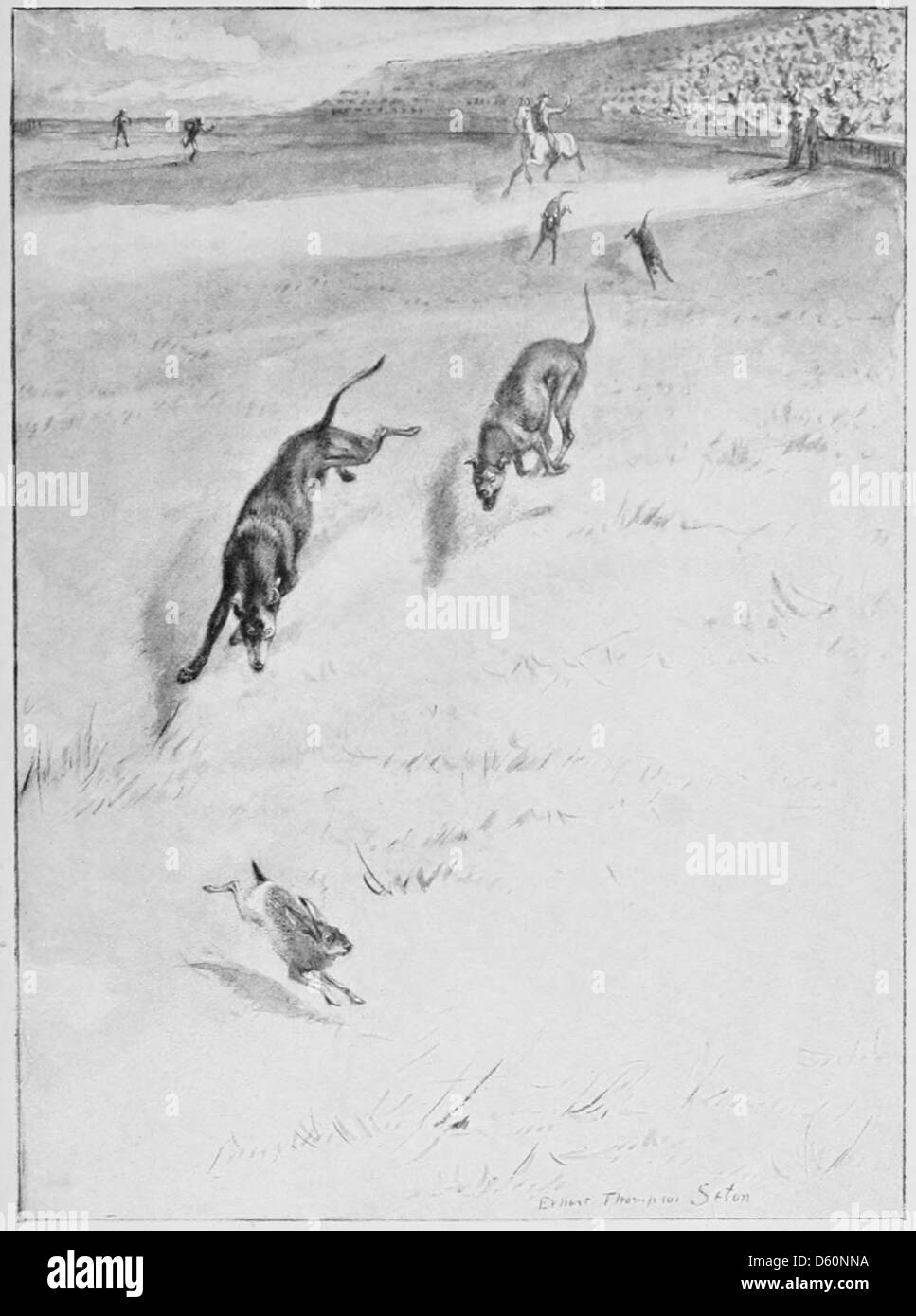 Un'illustrazione o una fotografia di una razza animale, con un cane, una lepre e un coniglio in competizione. L'immagine mostra probabilmente uno scenario stravagante o competitivo che coinvolge questi animali. Foto Stock