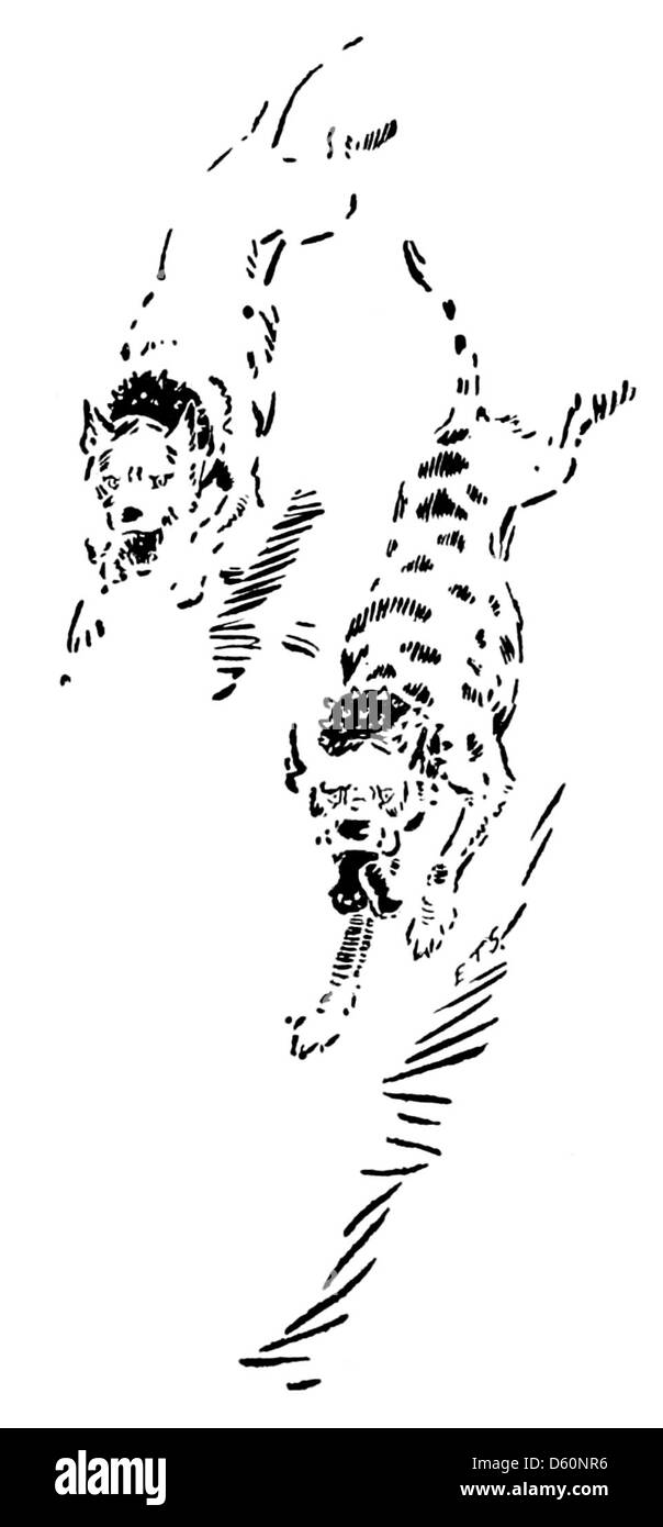 Una rappresentazione fotografica di "Animal Heroes", che mostra vari animali che hanno compiuto atti eroici o hanno contribuito alla vita umana in modi significativi. L'immagine evidenzia il legame tra esseri umani e animali in un contesto storico. Foto Stock