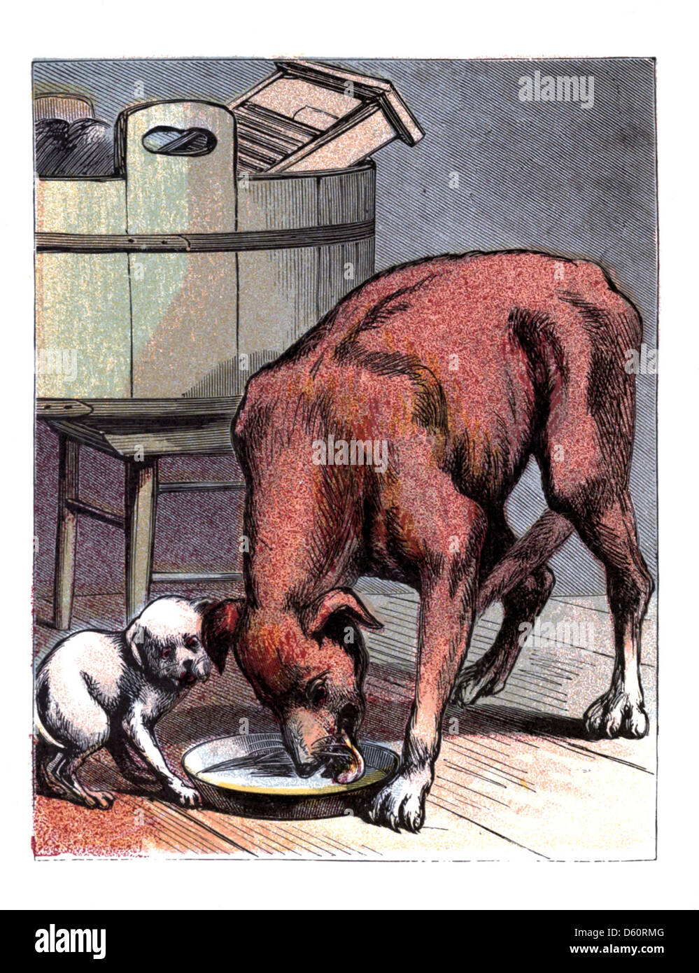 Questa fotografia, probabilmente scattata tra il 1870 e il 1886, mostra una scena giocosa con cuccioli. L'immagine cattura la natura maliziosa dei cani giovani, un soggetto comune nelle prime fotografie degli animali. Foto Stock