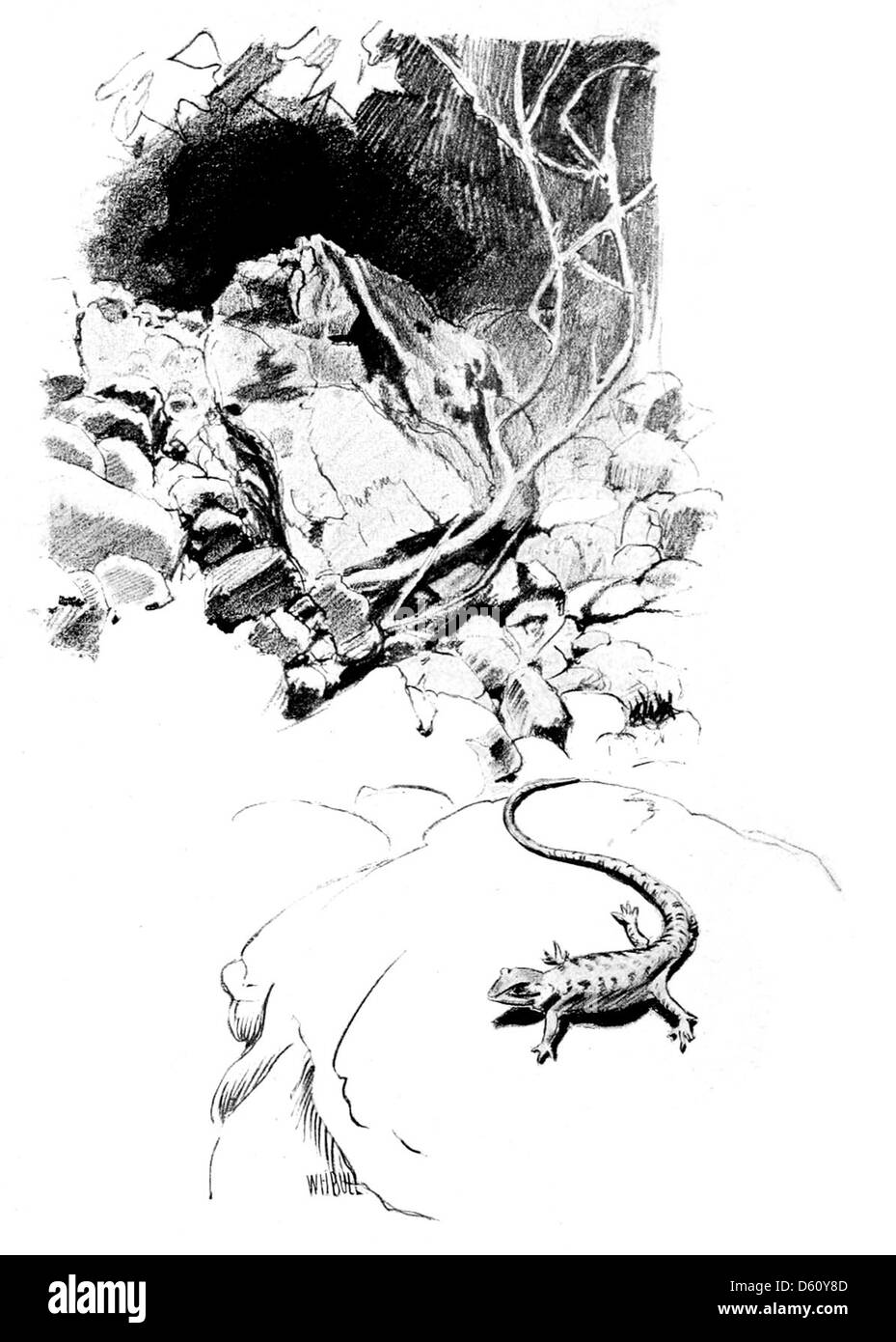 Questa fotografia del 1899 intitolata "A California Idyl" raffigura una scena serena in California, con particolare attenzione alla bellezza naturale del paesaggio. L'immagine presenta una grotta, lucertole e rocce aspre, catturando il terreno vario e accattivante dello stato. Foto Stock