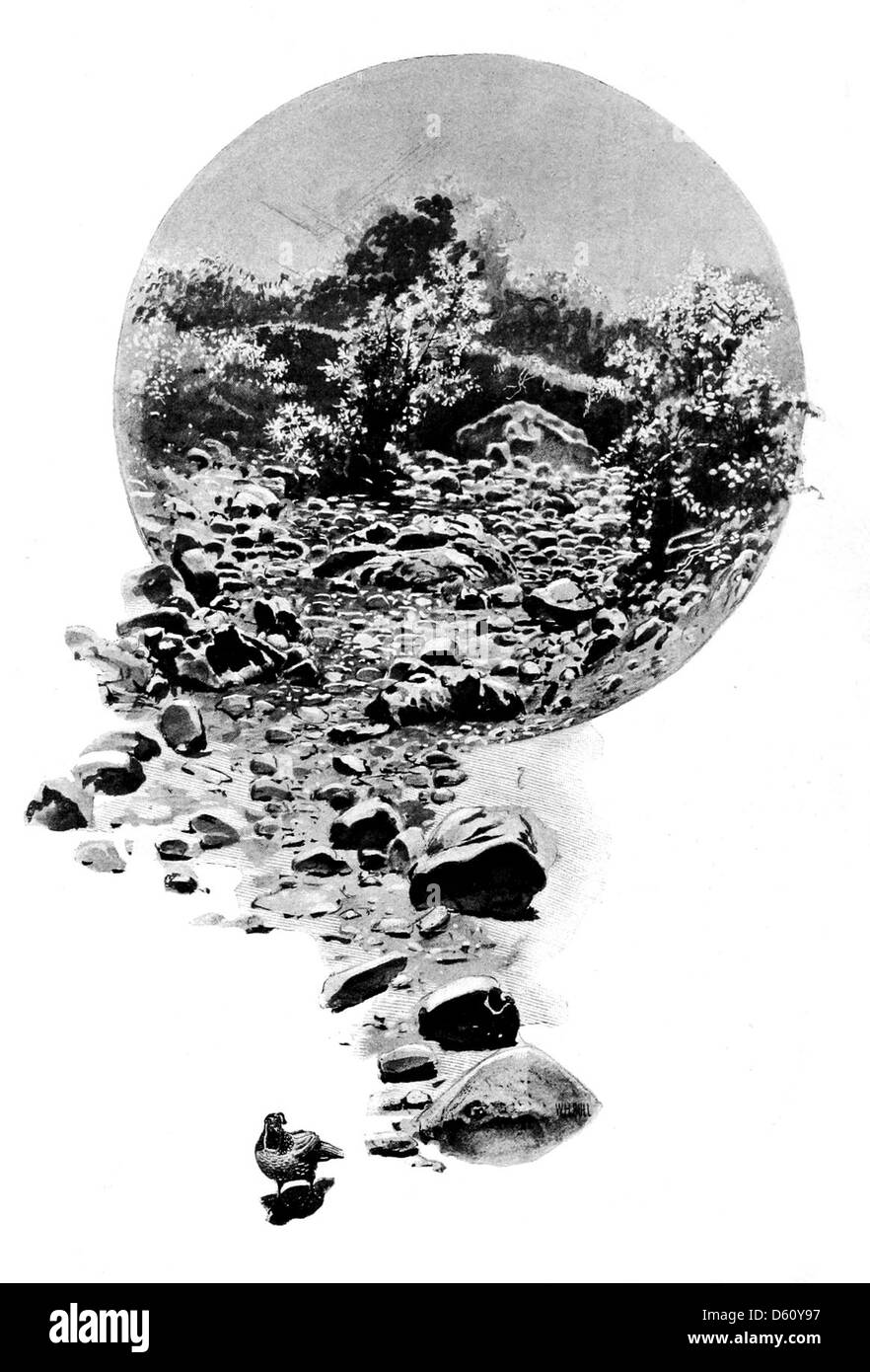 Una fotografia del 1899 che raffigura una striscia secca in California, catturando il paesaggio aspro della regione. L'immagine evidenzia le condizioni aride tipiche del deserto della California, mostrando l'ambiente duro ma bello. Foto Stock