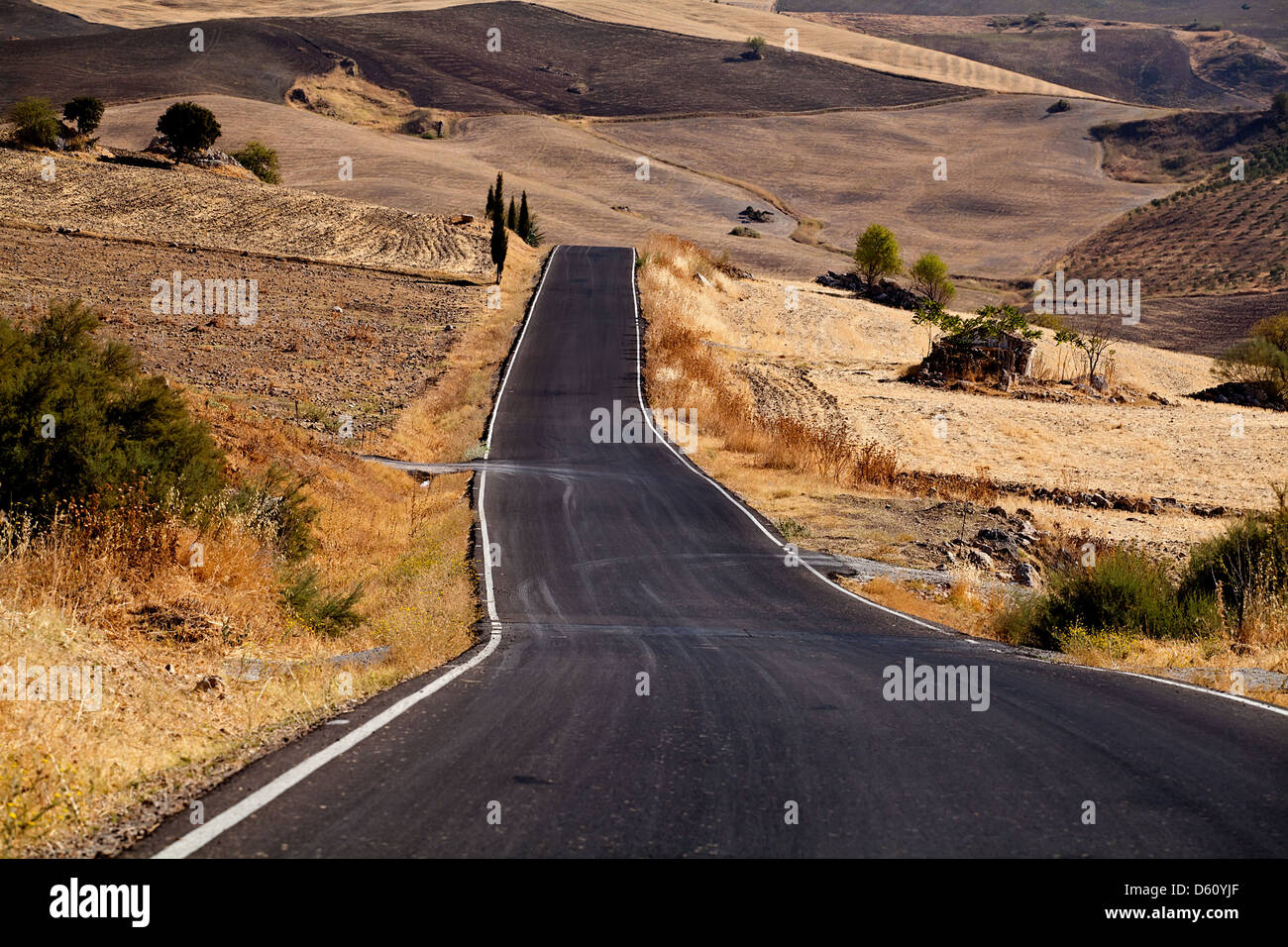 Autostrada attraverso campi andaluso Foto Stock