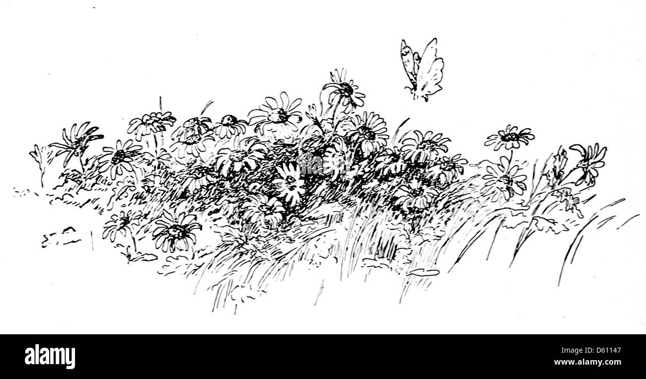 Un'illustrazione di copertina di "A Little Book of Home and Country Verse" (1906), una raccolta di poesie che catturano lo spirito della vita rurale. L'immagine evoca la semplicità e la tranquillità della vita di campagna. Foto Stock