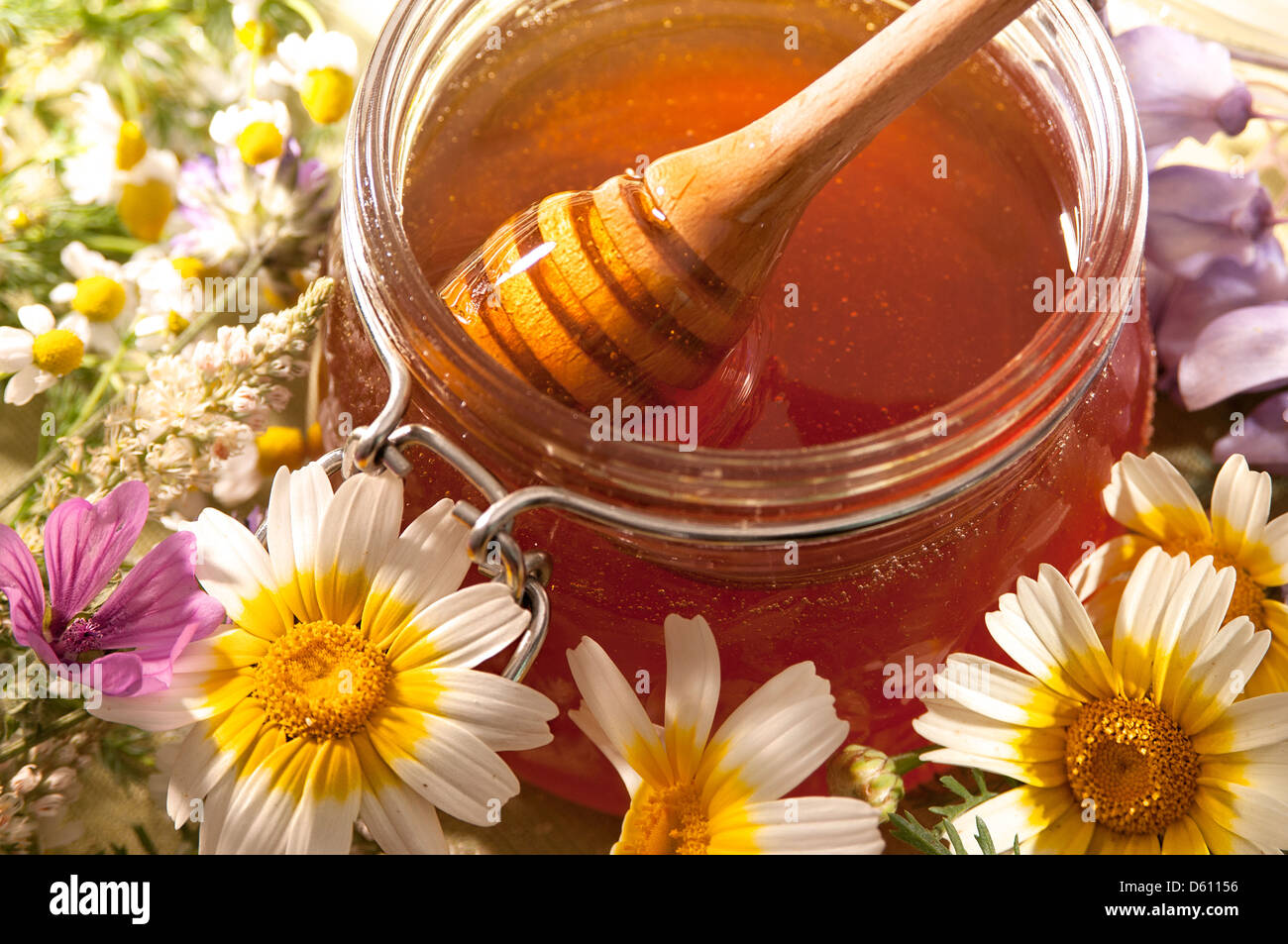 Miele biologico in un vasetto di vetro e bilanciere Foto Stock
