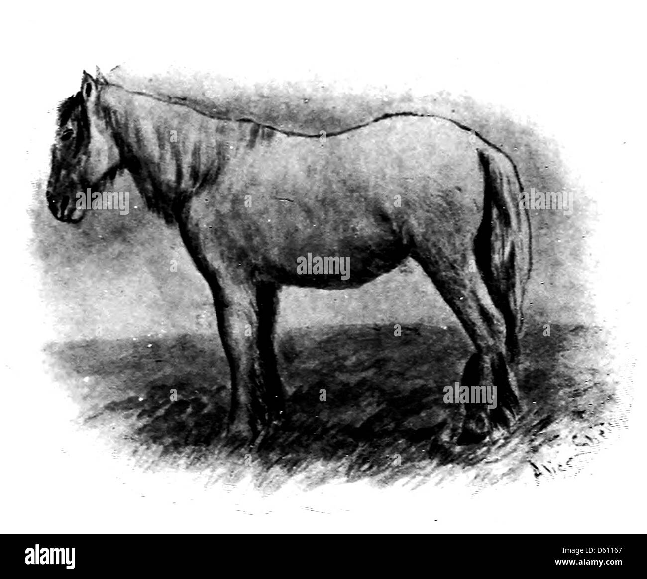 Questa collezione del 1906 presenta poesie che celebrano la vita rurale, con diversi versi dedicati ai cavalli. Il lavoro riflette il legame tra uomo e animale, in particolare nel contesto dell'agricoltura e del tempo libero. Foto Stock