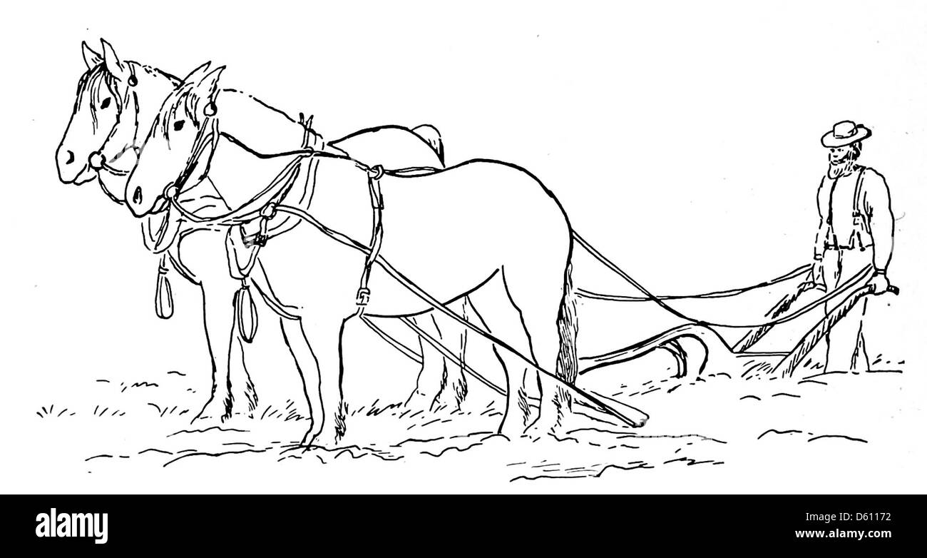 Un'illustrazione del 1906 tratta da "A Little Book of Home and Country Verse", che mostra i cavalli che arano un campo. L'immagine riflette la vita agricola del periodo, evidenziando la manodopera rurale e la vita agricola. Foto Stock