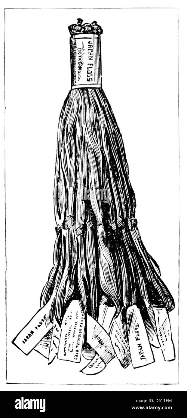 Questo libro di ricami del 1886 include dettagliati motivi incisi utilizzando filo di seta giapponese. I motivi sottolineano i delicati ricami di seta di alta qualità, influenzati dalle tecniche artistiche tessili giapponesi. Foto Stock