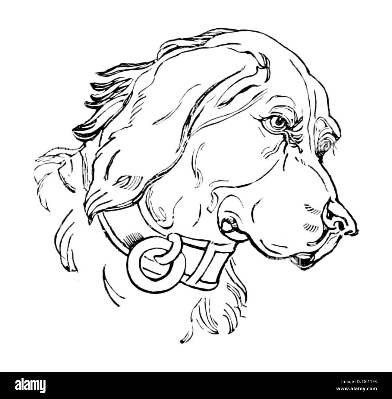 Questo libro del 1886 presenta ricami in seta, con particolare attenzione ai disegni per cani. La guida fornisce intricati motivi per creare immagini ricamate di cani, ideali per coloro che sono interessati all'arte tessile a tema animale. Foto Stock