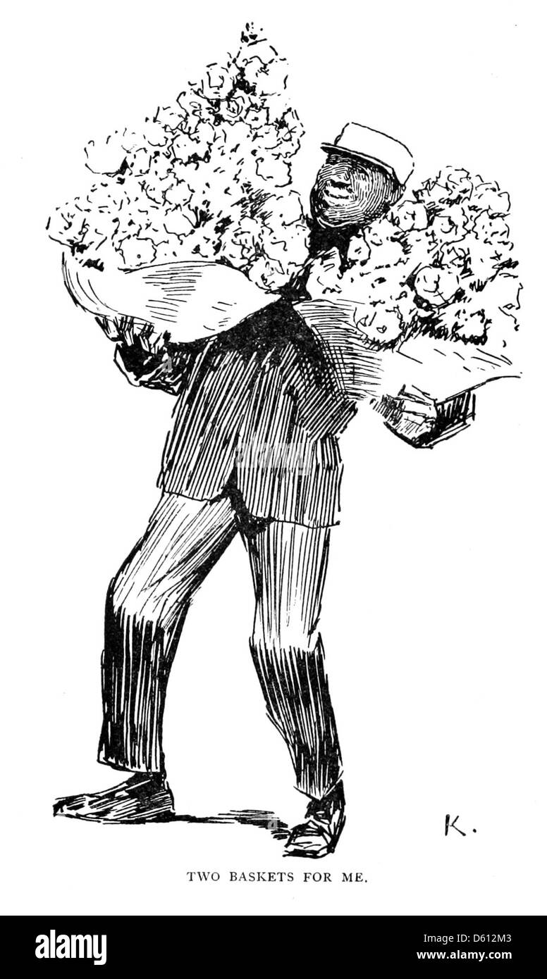 Un'illustrazione o una fotografia che mostra la prospettiva di un francese su fiori e mazzi americani. L'immagine riflette gli scambi culturali e l'apprezzamento della bellezza floreale in diversi paesi. Foto Stock