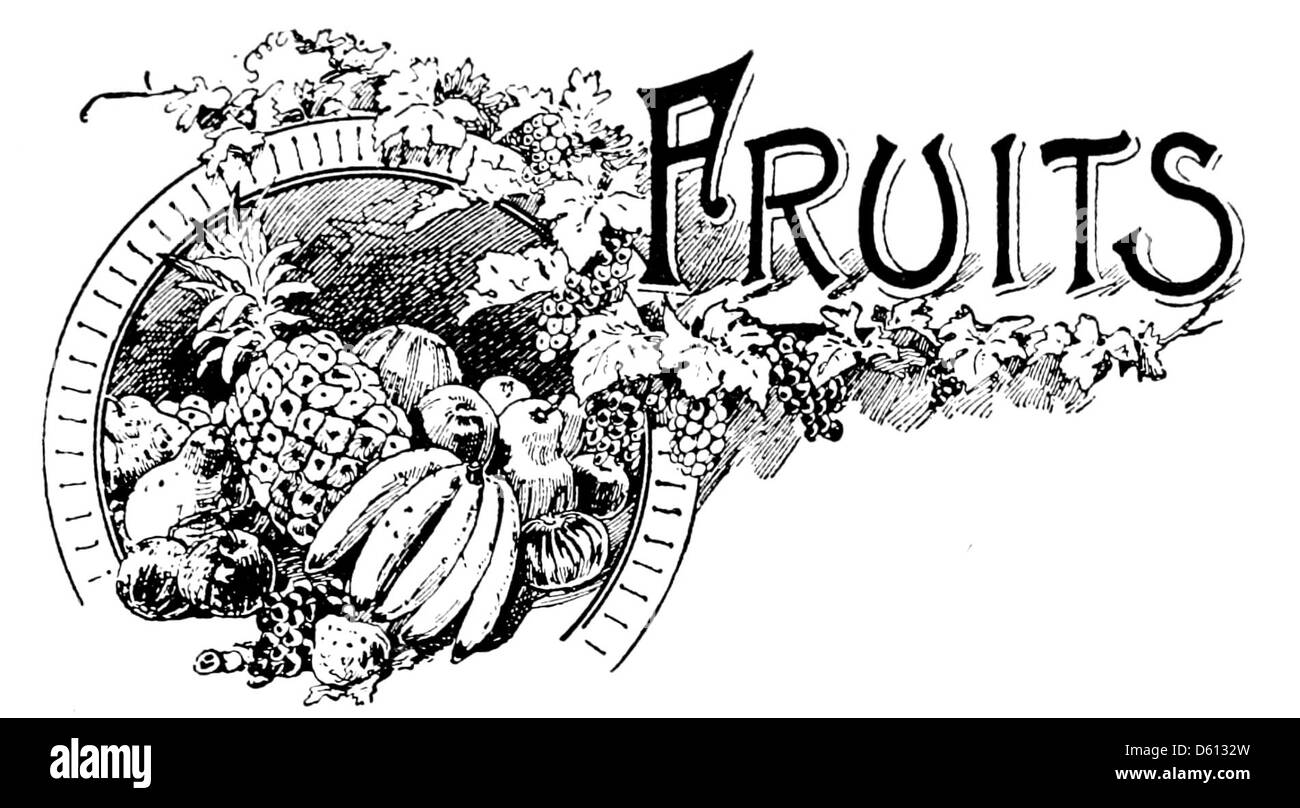 Questo libro di cucina 1899 offre consigli pratici sulla preparazione della frutta e di altri ingredienti, fornendo istruzioni dettagliate sulle tecniche di cottura e le ricette per i pasti di tutti i giorni. Foto Stock