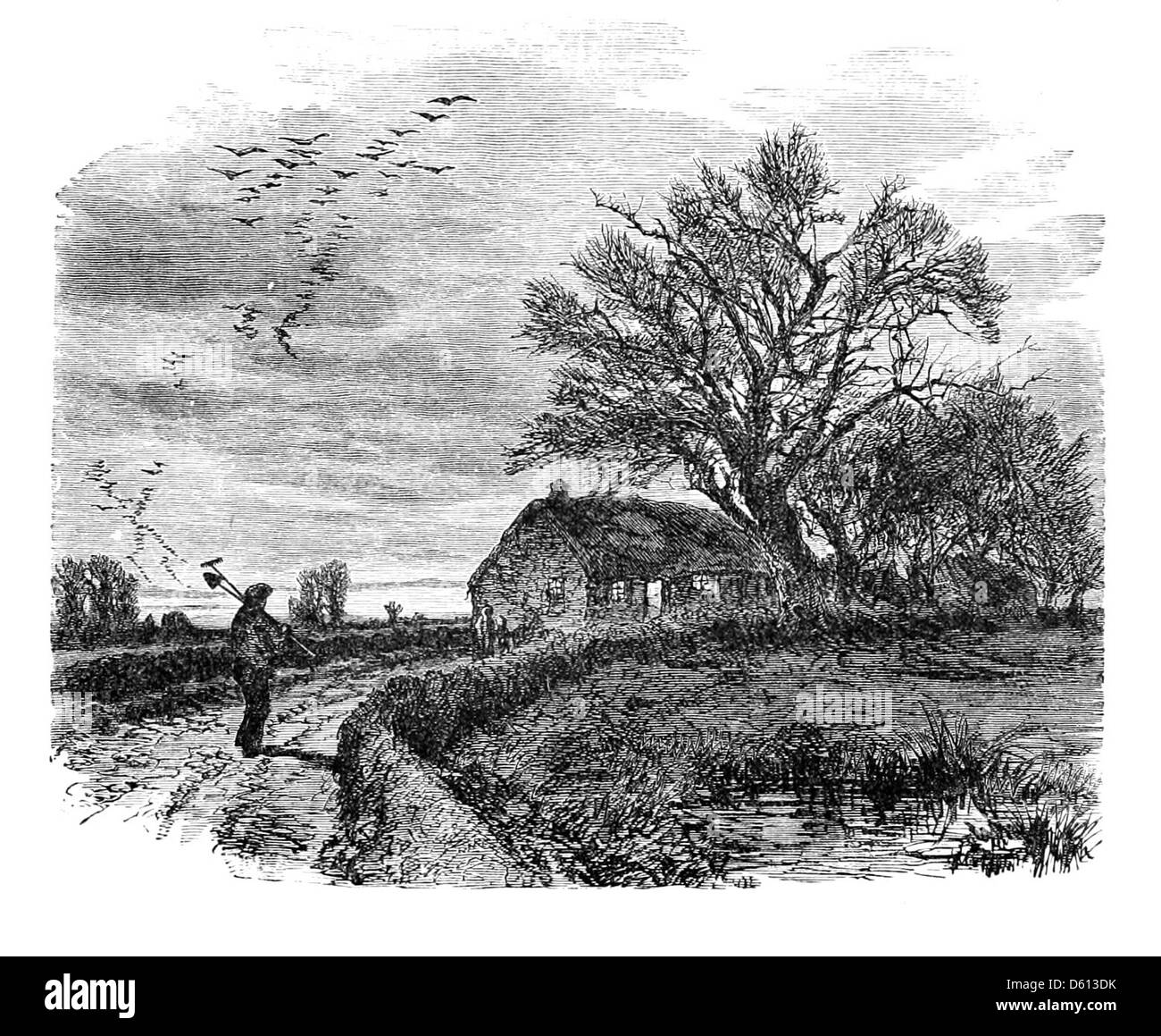 Questa pubblicazione del 1876 presenta una serata di esibizioni e letture dei più grandi poeti in lingua inglese. L'evento è illustrato con scene di un cottage rurale, un contadino e il suo gregge, sottolineando il legame tra poesia e vita rurale. Foto Stock
