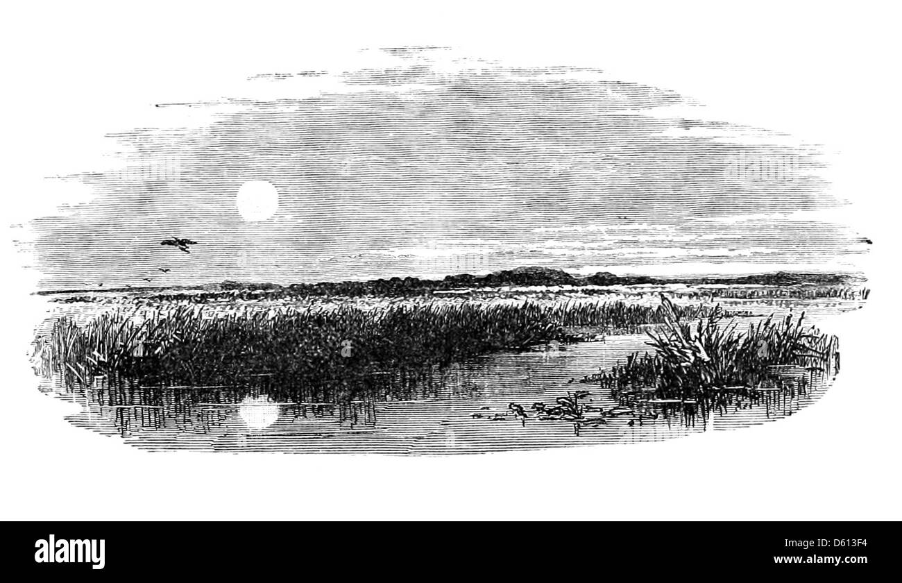 Un'illustrazione tratta da "A Festival of Song" (1876), con una scena serena al chiaro di luna con uno stagno che riflette il chiaro di luna. L'immagine evoca l'atmosfera poetica delle serate descritte nel libro, dedicato ai più grandi poeti inglesi. Foto Stock