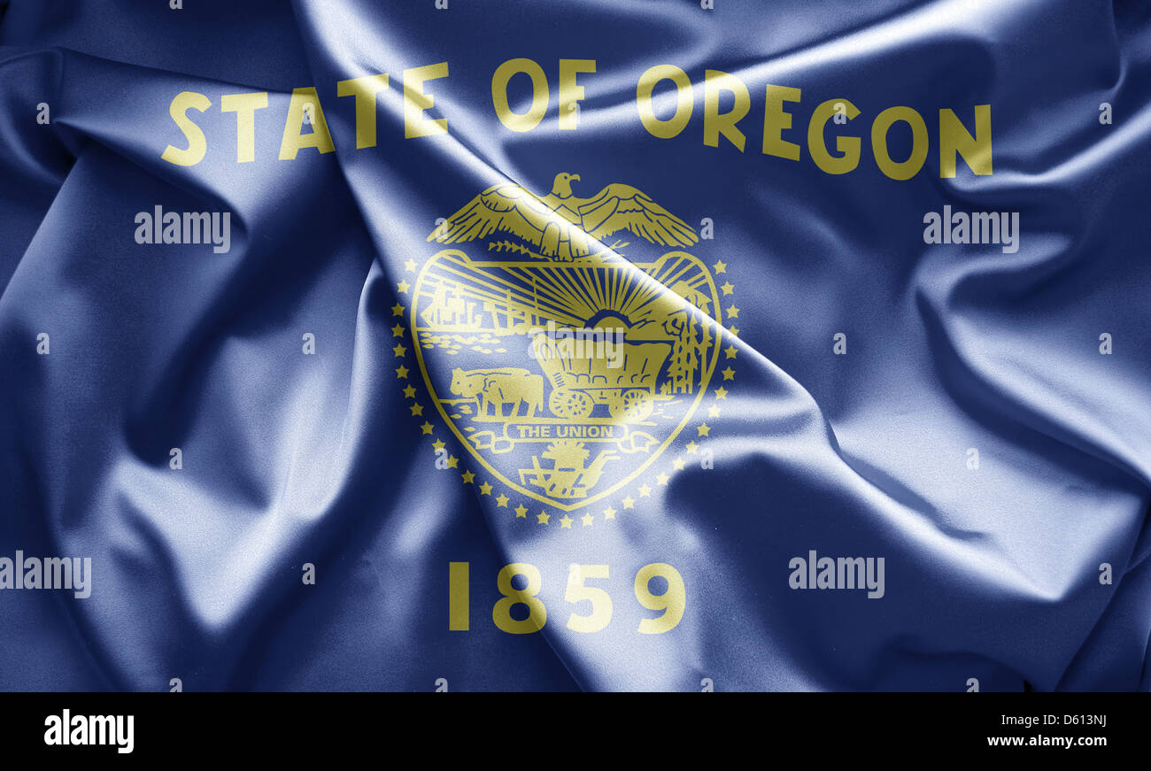 Taglio Del Foro Nella Bandiera Dello Stato Dell'Oregon Illustrazione Di - Foto 4