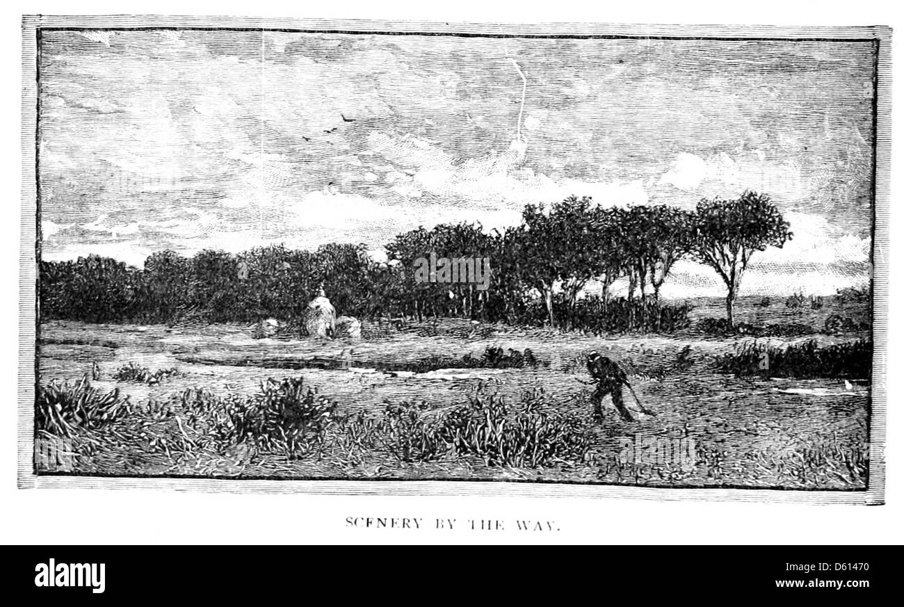 Una fotografia del 1884 che mostra una famiglia riunita in un ambiente rurale, forse partecipando ad un'attività agricola. L'immagine rappresenta la vita quotidiana di una famiglia alla fine del XIX secolo, evidenziando le pratiche agricole rurali e il legame familiare. Foto Stock