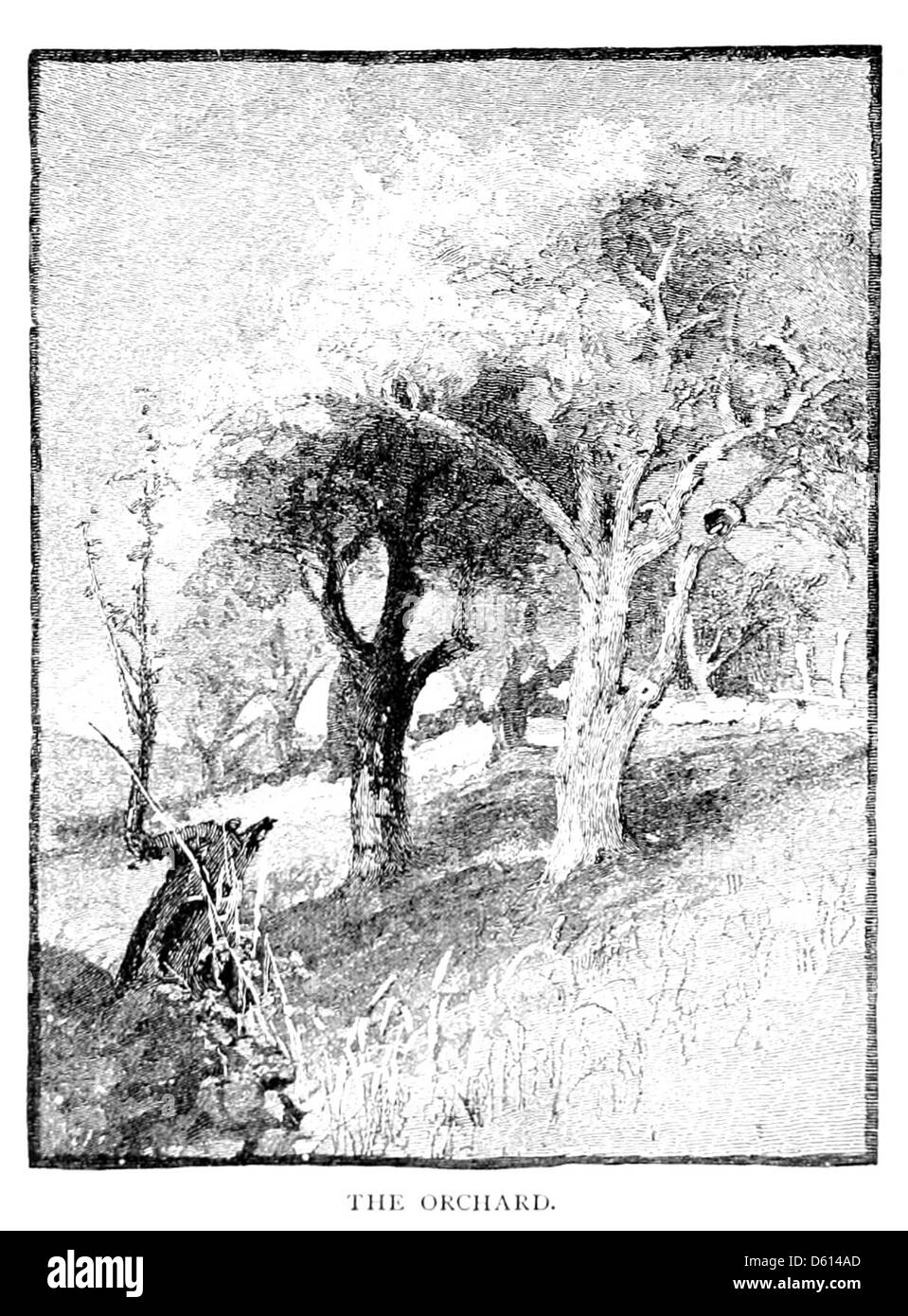 Un'illustrazione tratta da "A Family Flight Around Home" (1884), che mostra un frutteto. L'immagine cattura una famiglia che si diverte con una piacevole attività vicino alla propria casa, con particolare attenzione al frutteto e alla bellezza naturale circostante. Foto Stock