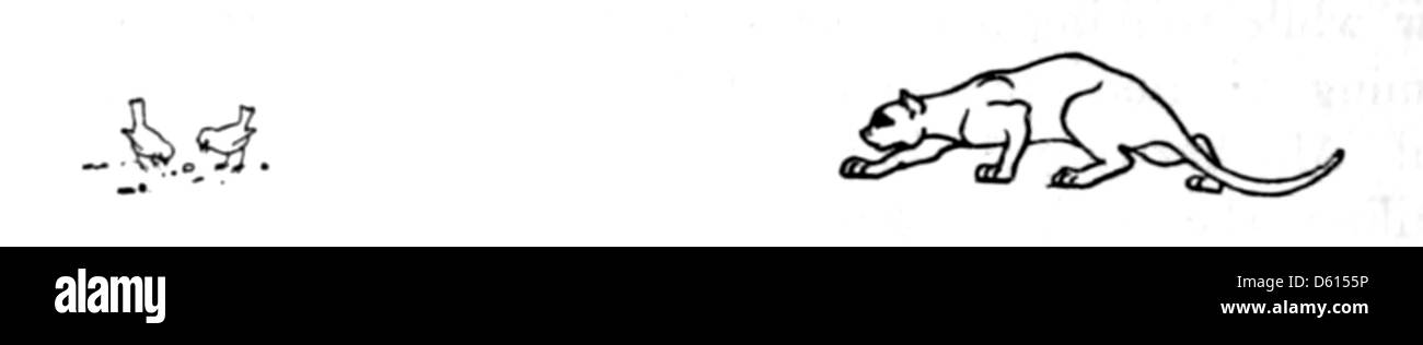 Questa immagine raffigura il gatto domestico, evidenziando il suo comportamento predatorio, in particolare nella caccia agli uccelli e alla piccola fauna selvatica. La didascalia discute anche i metodi per controllare il suo impatto sulla fauna selvatica, come descritto in una pubblicazione del 1916. Foto Stock