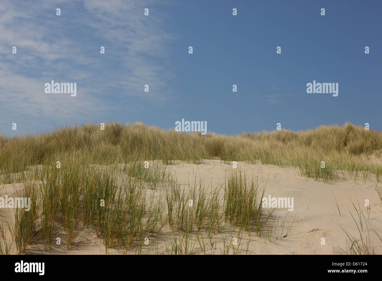 Dune di sabbia in riva al mare Foto Stock
