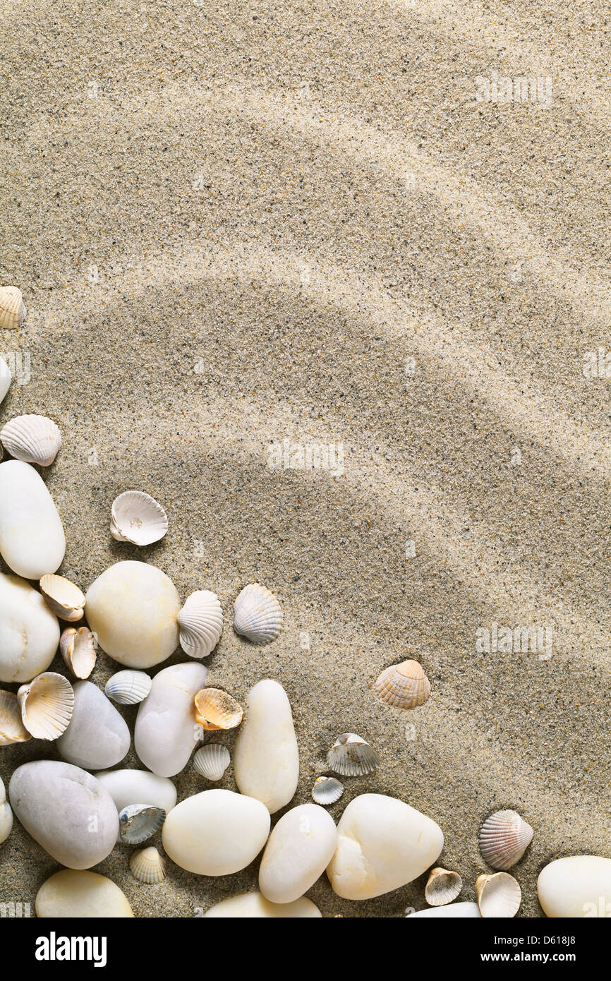 Sfondo Sabbia Con Conchiglie E Pietre Spiaggia Di Sabbia La Texture Per L Estate Con Copia Spazio Macro Shot Foto Stock Alamy