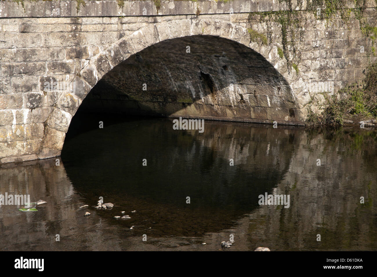 Ponte sul fiume Tavy in,Tavistock Dartmoor Devon,,South West England, Regno Unito Foto Stock