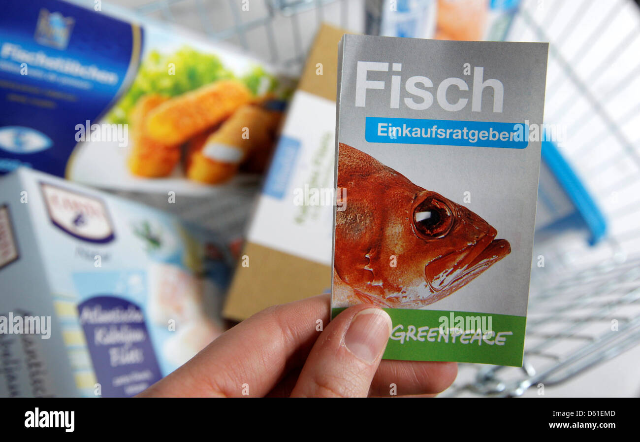 Un dipendente di Greenpeace tiene questo anno di shopping guida per mangiare il pesce nelle sue mani ad Amburgo, Germania, 18 aprile 2012. Il pieghevole shopping guida che si inserisce in un portafogli può anche essere scaricato da internet. Foto: Markus Scholz Foto Stock