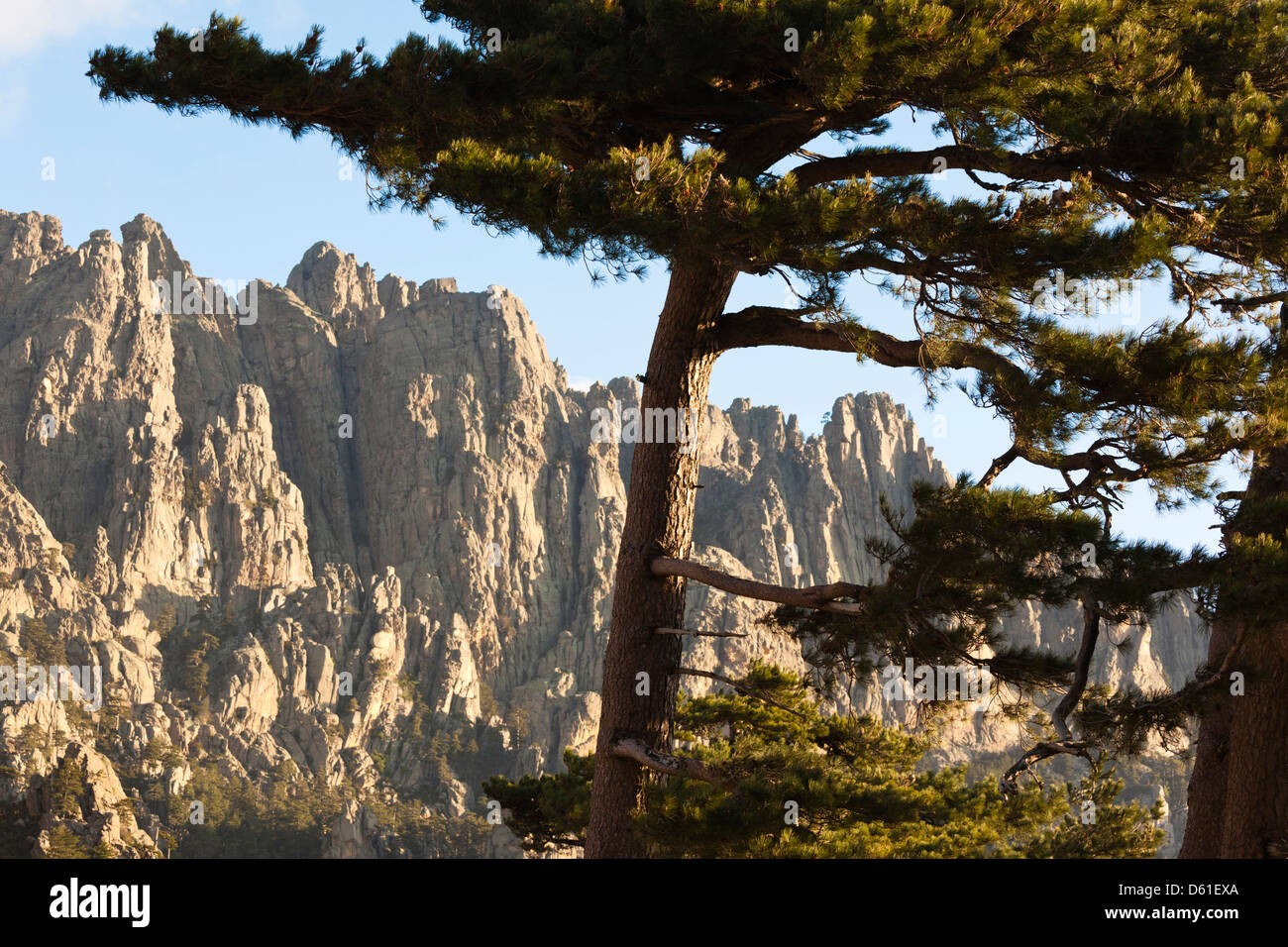 Francia, Corsica, La Alta Rocca, Col de Bavella pass, Aiguilles de Bavella picchi, mattina Foto Stock