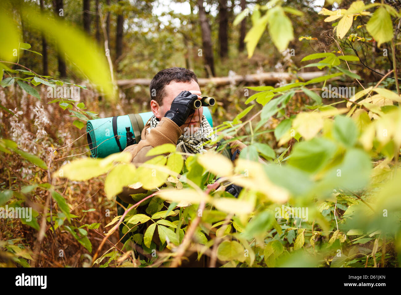 L'uomo con un binocolo in una giungla. Foto Stock