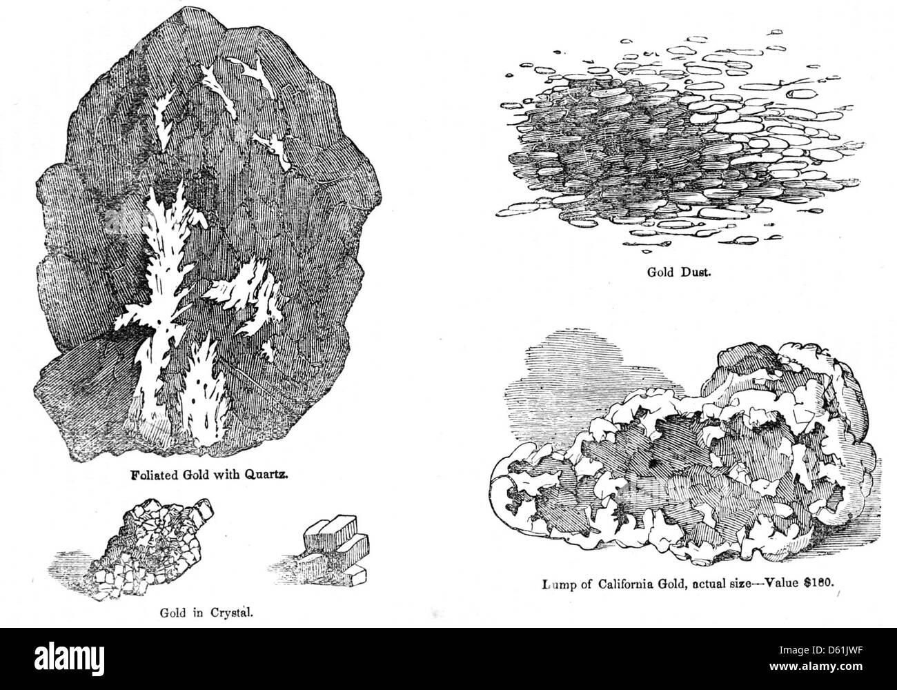 Questa pubblicazione del 1860 fornisce una panoramica illustrata degli Stati Uniti, descrivendo la sua storia, la sua geografia, i suoi prodotti agricoli e le sue risorse minerarie. Il libro offre un resoconto visivo e testuale completo degli attributi chiave della nazione durante la metà del XIX secolo. Foto Stock