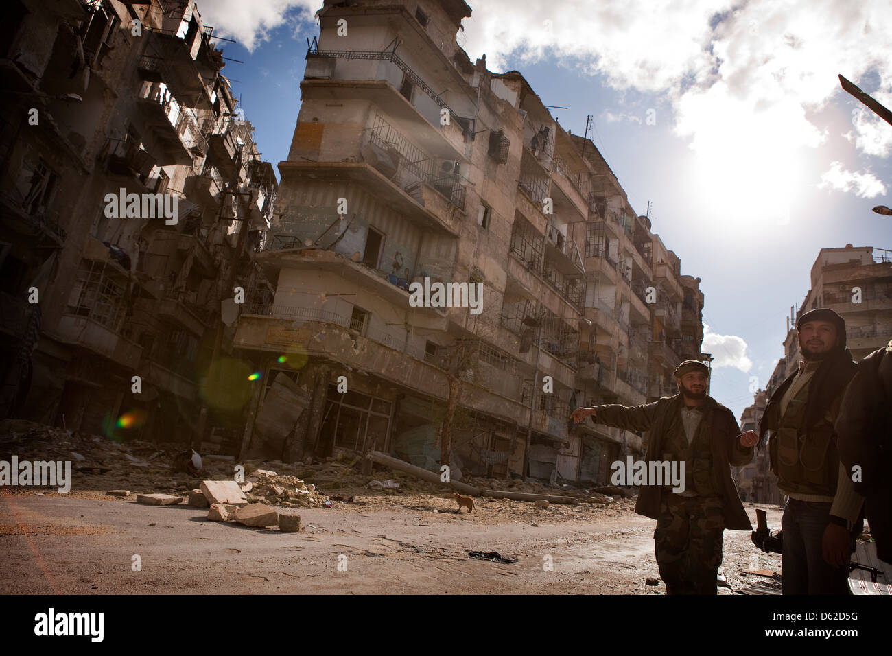Aleppo, Siria. FSA fighters punto in rovina street che è controllato da un governo sniper mentre un gatto attraversa. Foto Stock