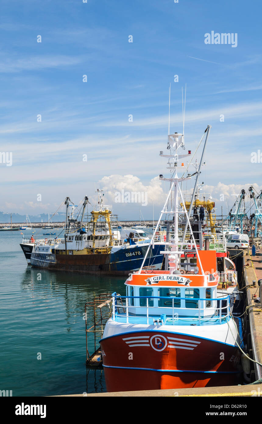 Attività di pesca i pescherecci con reti da traino a Brixham Harbour, Devon, Inghilterra. Foto Stock