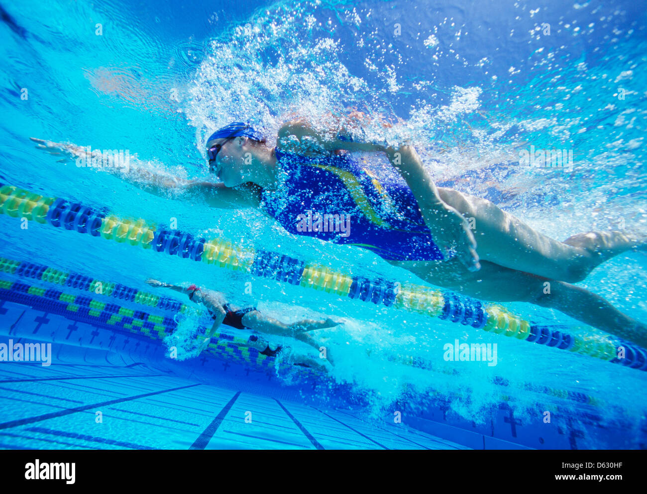 Femmina partecipanti professional racing in piscina Foto Stock