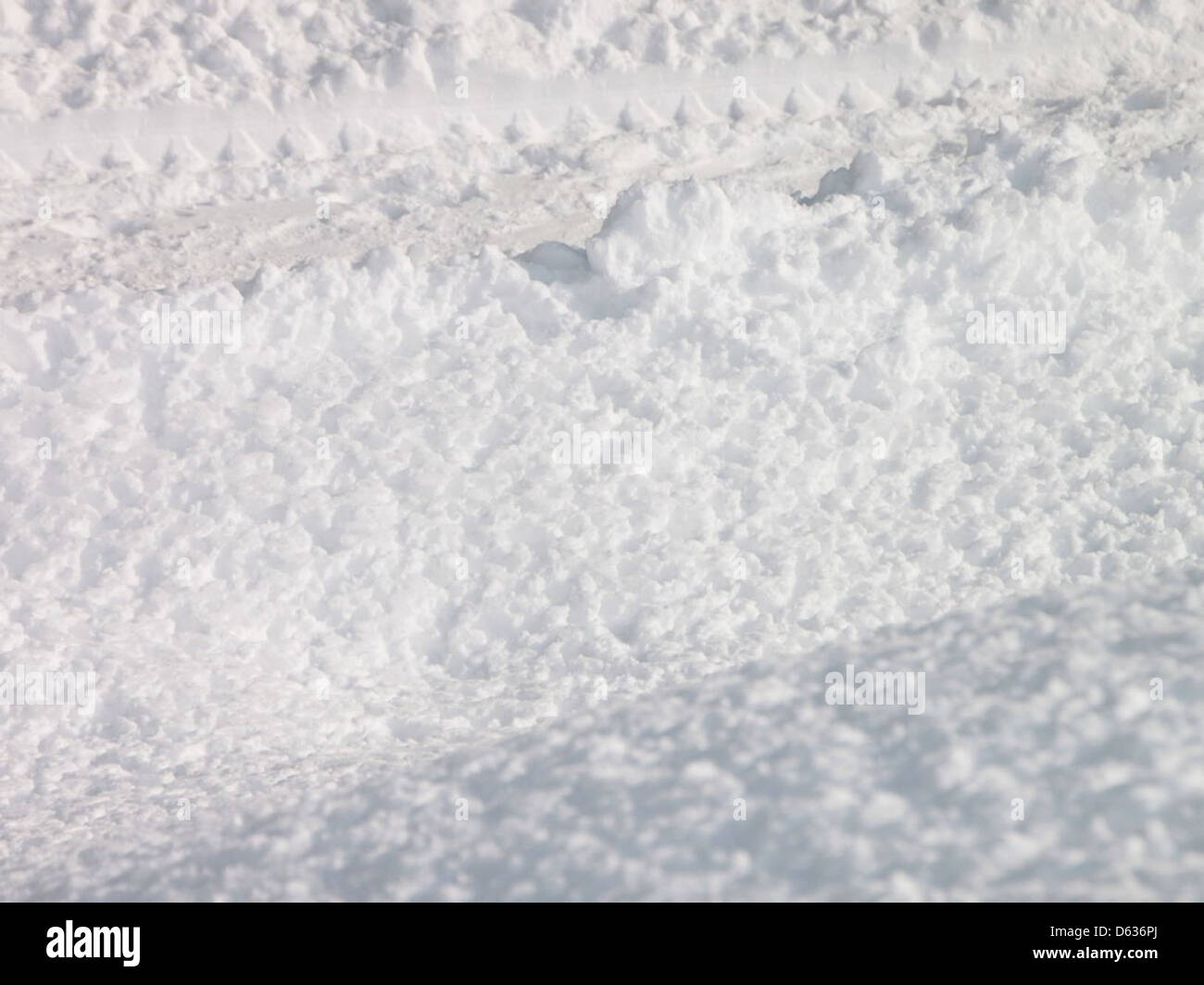 Questa immagine presenta una schiuma simile alla neve, che crea una somiglianza visiva con le superfici innevate. La schiuma emana una consistenza morbida e leggera, catturata in un ambiente naturale all'aperto. Foto Stock