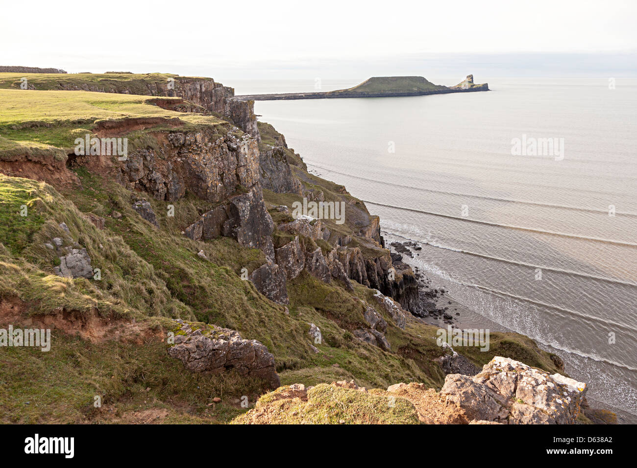 Scogliere sul mare e a vite senza fine la testa, Gower, Wales, Regno Unito Foto Stock