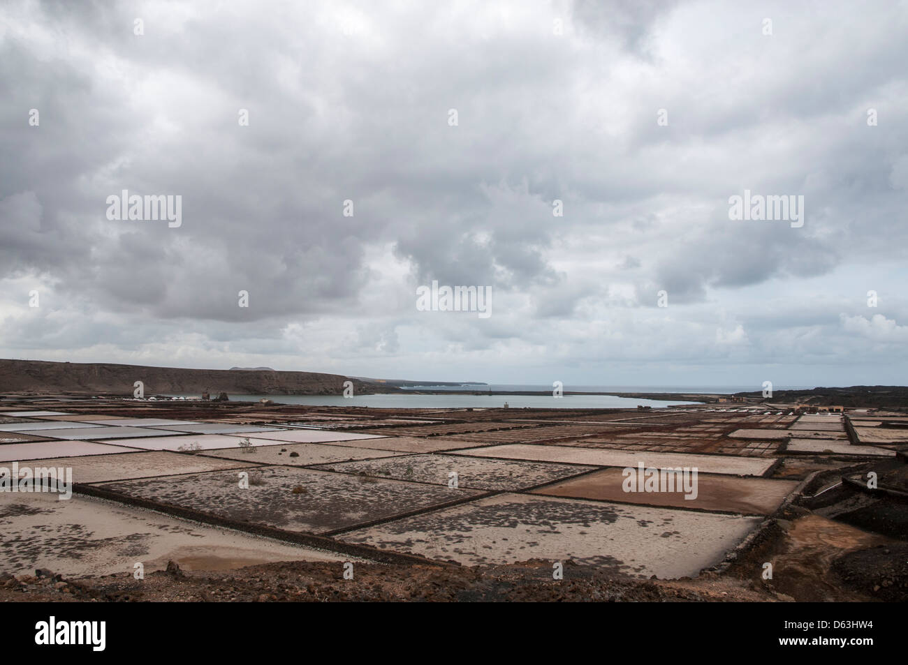 Il sale di Lanzarote che raccoglie il sale marino Foto Stock