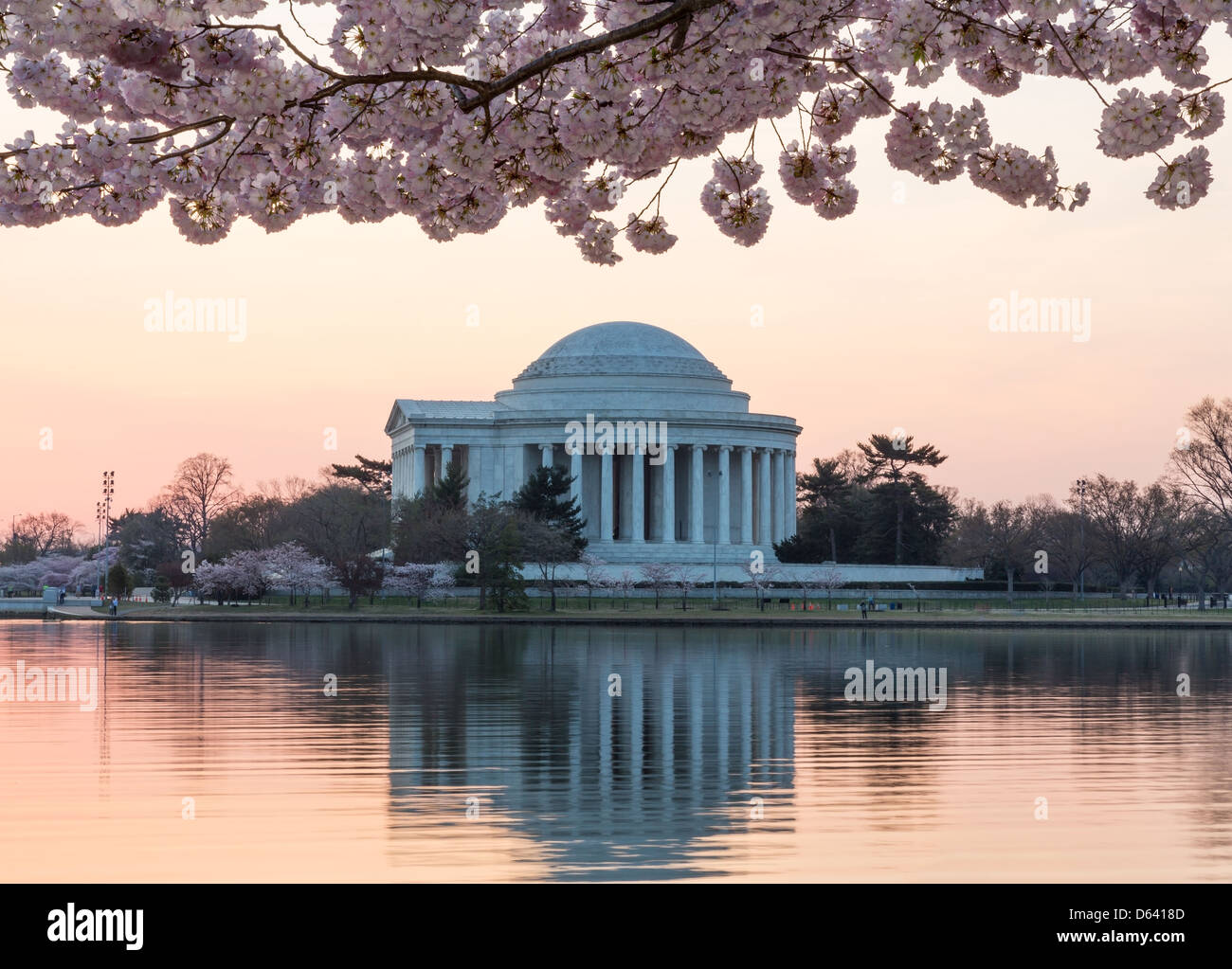 Il Thomas Jefferson Memorial in Washington DC con la fioritura dei ciliegi all'alba Foto Stock