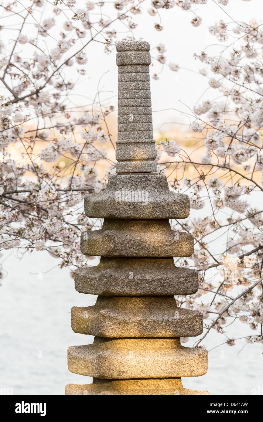 Monumento di pietra dal bacino di marea e circondato da giapponese di rosa fiori di ciliegio in Washington DC in primavera Foto Stock