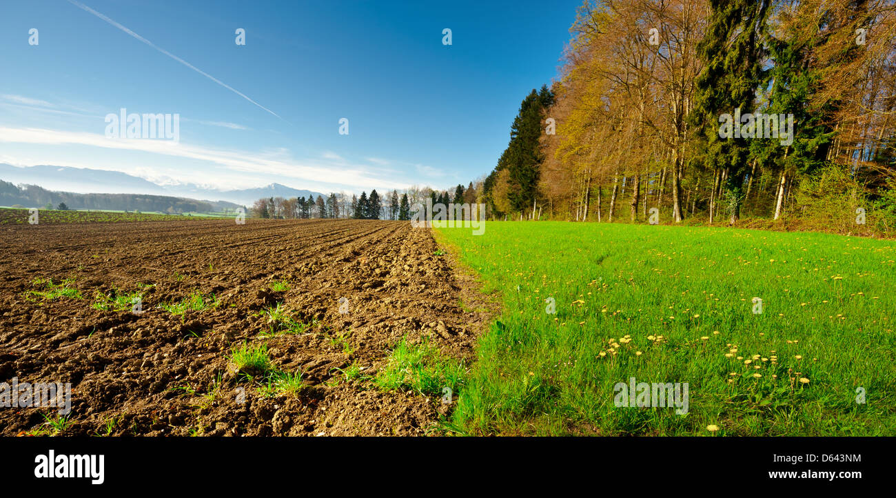 Campo arato Foto Stock