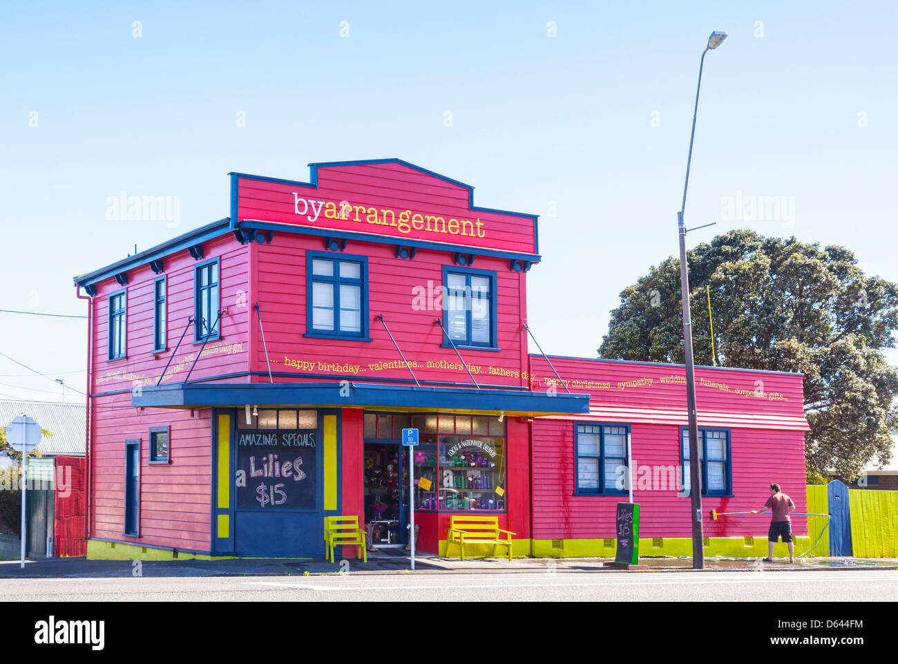 Negozio di fiori in New Plymouth, Taranaki, Nuova Zelanda, un uomo è il lavaggio del weatherboards con una spazzola e tubo. Foto Stock