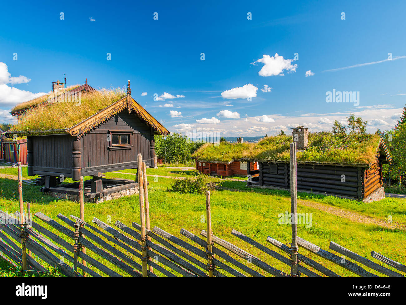 Tetto di erba country house Foto Stock