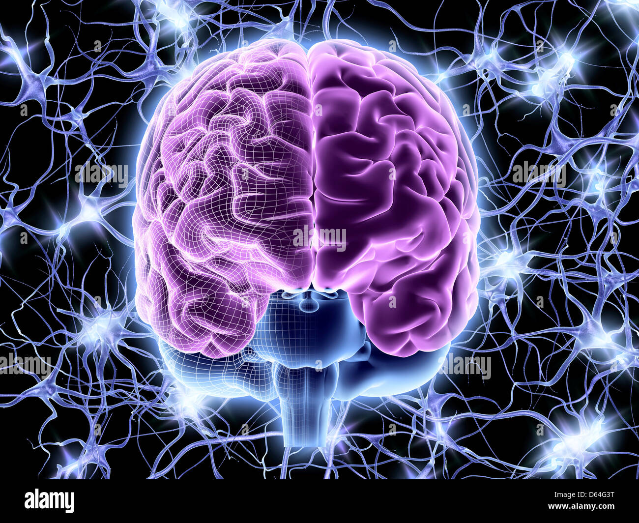 Il cervello e le cellule nervose, rete neurale Foto Stock