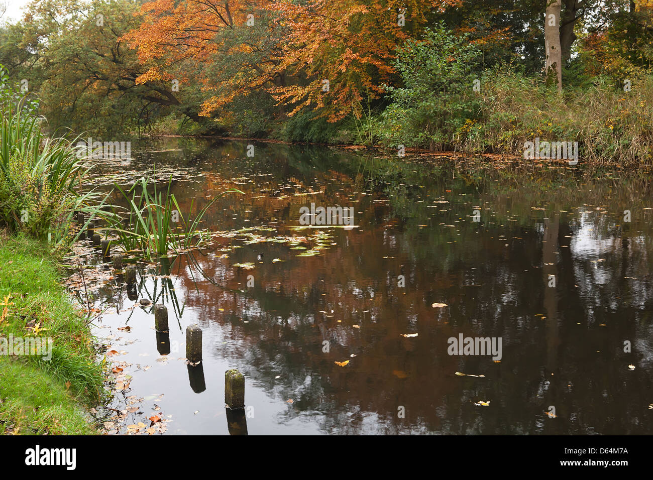 Fiume e alberi autunnali sulla banca Foto Stock