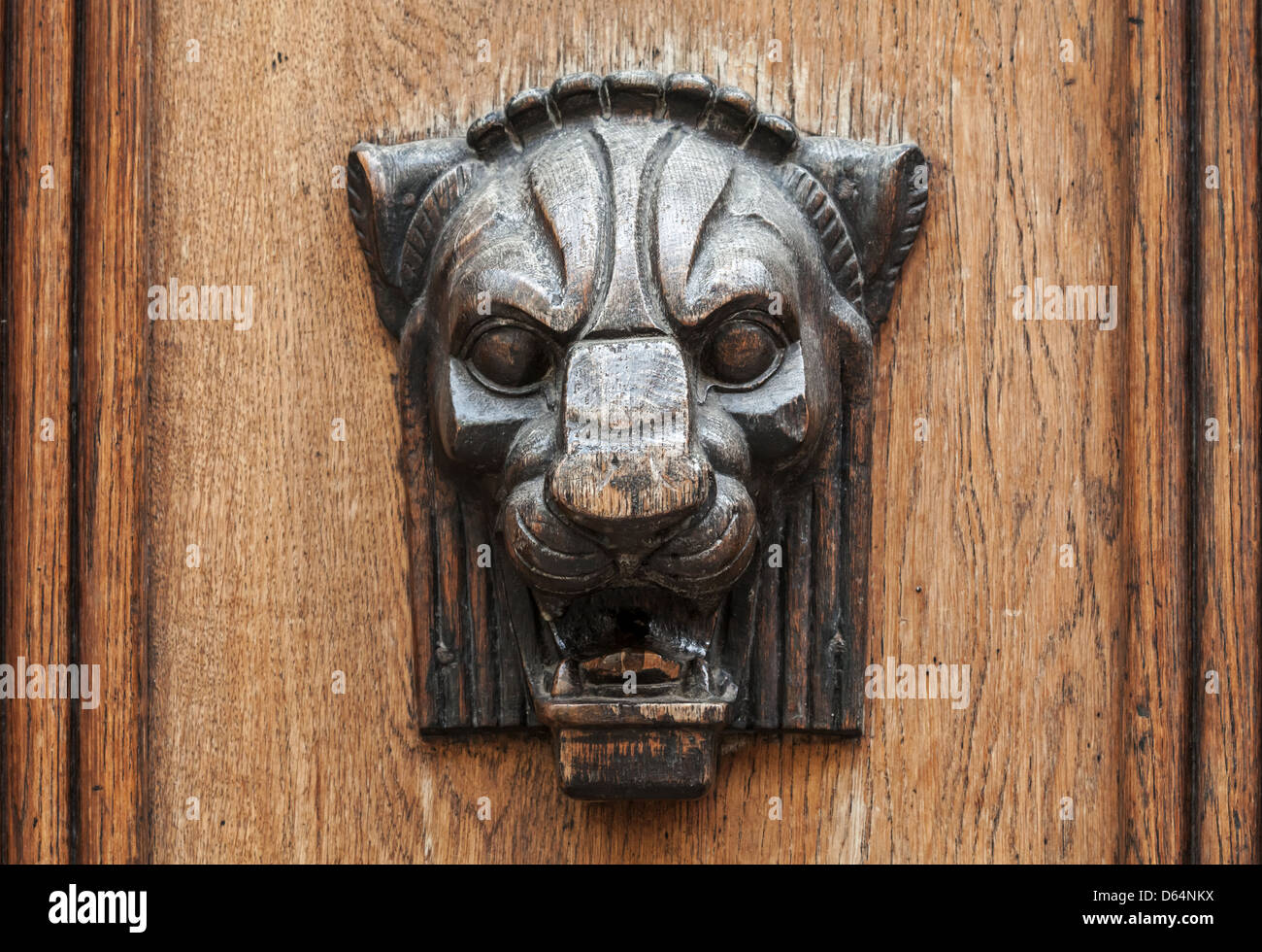 In legno testa di leone rilievo - elemento decorativo sulla antica porta a spiovente nella parte vecchia di Tallinn, Estonia Foto Stock