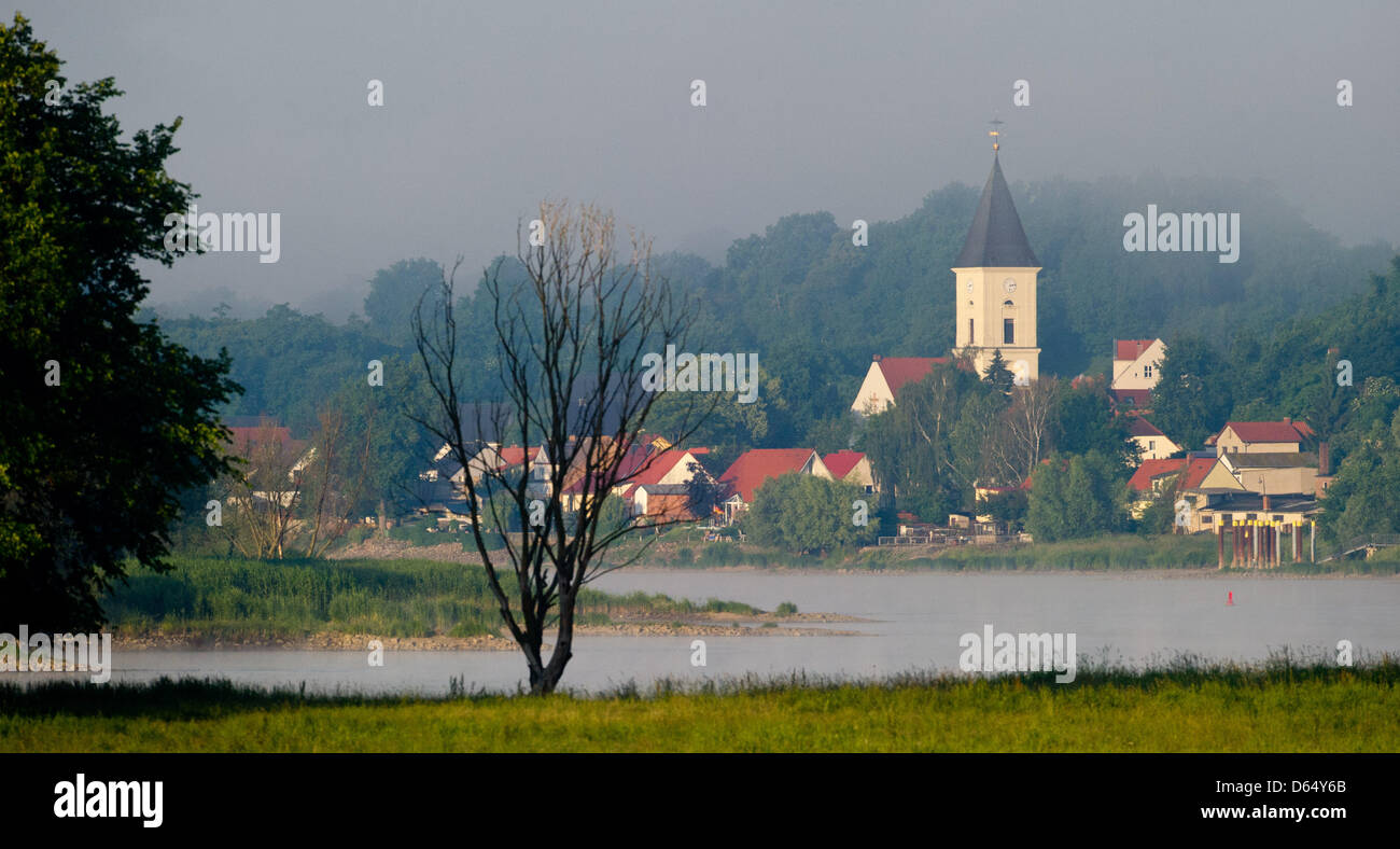 Nebbia di mattina si sofferma sul confine fra Germania e Polonia lungo il fiume Oder in Lebus, Germania, 06 giugno 2012. Foto: Patrick Pleul Foto Stock