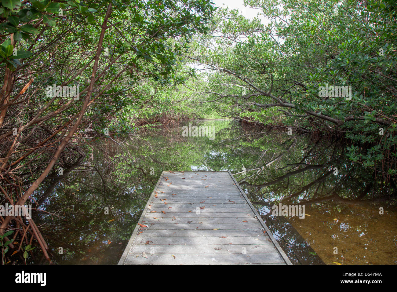 Molo pesca barca lancio creek palude di mangrovie river Foto Stock