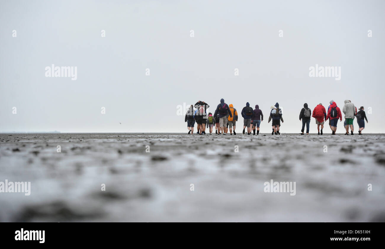 La gente a piedi attraverso le velme del mare di Wadden tra Nessmersiel e l isola di Baltrum durante il forte vento e pioggia sulla costa del Mare del Nord vicino Baltrum, Germania, 09 giugno 2012. Meteorologi predire cambiamenti di tempo per i prossimi giorni. Foto: JULIAN STRATENSCHULTE Foto Stock