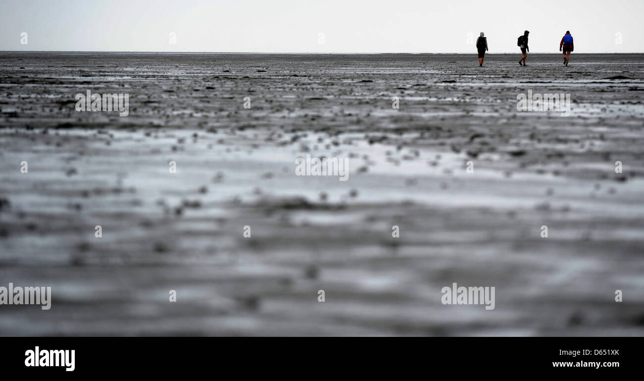 La gente a piedi attraverso le velme del mare di Wadden tra Nessmersiel e l isola di Baltrum durante il forte vento e pioggia sulla costa del Mare del Nord vicino Baltrum, Germania, 09 giugno 2012. Meteorologi predire cambiamenti di tempo per i prossimi giorni. Foto: JULIAN STRATENSCHULTE Foto Stock