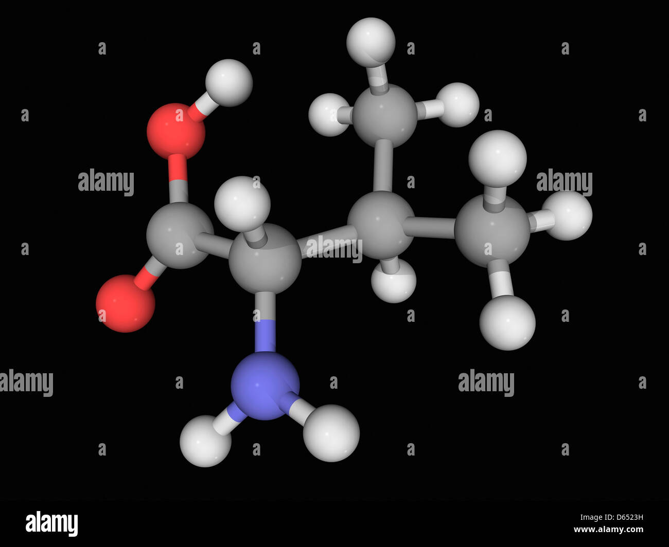 Molecola di valina Foto Stock