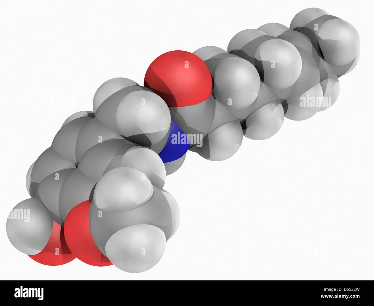La capsaicina molecola Foto Stock