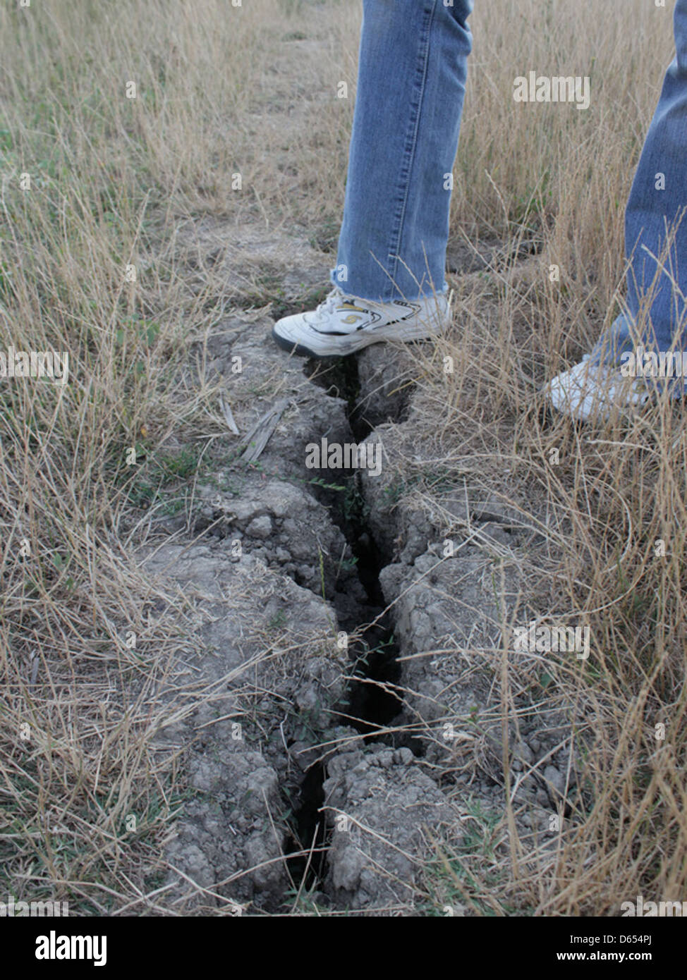 L'immagine mostra la terra incrinata a causa delle condizioni di siccità, con erba sparsa che cresce nel campo. Le crepe sono chiaramente visibili, evidenziando gli effetti della scarsità d'acqua sulla terra. Foto Stock